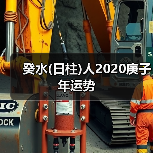 癸水(日柱)人2020庚子年运势（图1）