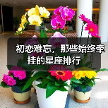 初恋难忘,那些始终牵挂的星座排行(图3) 初恋难忘,那些始终牵挂的星座排行(图3)