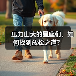 压力山大的星座们，如何找到放松之道？（图1）