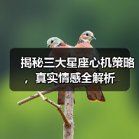 揭秘三大星座心机策略，真实情感全解析（图1）