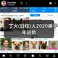 丁火(日柱)人2020庚子年运势(图3) 丁火(日柱)人2020庚子年运势(图3)