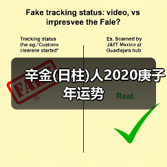 辛金(日柱)人2020庚子年运势(图3) 辛金(日柱)人2020庚子年运势(图3)