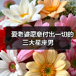爱老婆愿意付出一切的三大星座男（图2）