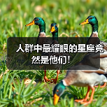 人群中最耀眼的星座竟然是他们!(图1) 人群中最耀眼的星座竟然是他们!(图1)