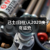 己土(日柱)人2020庚子年运势(图1) 己土(日柱)人2020庚子年运势(图1)