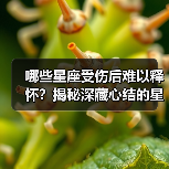 哪些星座受伤后难以释怀?揭秘深藏心结的星座秘密(图4) 哪些星座受伤后难以释怀?揭秘深藏心结的星座秘密(图4)