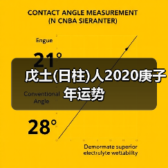 戊土(日柱)人2020庚子年运势(图2) 戊土(日柱)人2020庚子年运势(图2)