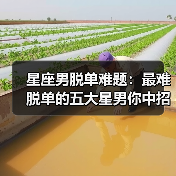 星座男脱单难题:最难脱单的五大星男你中招了吗(图3) 星座男脱单难题:最难脱单的五大星男你中招了吗(图3)
