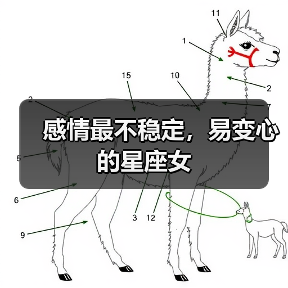 感情最不稳定,易变心的星座女(图2) 感情最不稳定,易变心的星座女(图2)