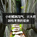 小时候越淘气,长大后越有本事的星座(图4) 小时候越淘气,长大后越有本事的星座(图4)