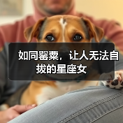 如同罂粟,让人无法自拔的星座女(图2) 如同罂粟,让人无法自拔的星座女(图2)