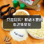 只是玩玩?那请不要招惹这些星女(图4) 只是玩玩?那请不要招惹这些星女(图4)