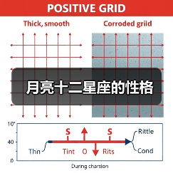 月亮十二星座的性格