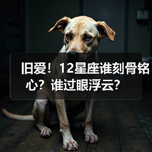 旧爱!12星座谁刻骨铭心?谁过眼浮云?(图3) 旧爱!12星座谁刻骨铭心?谁过眼浮云?(图3)