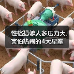 性格孤僻人多压力大,害怕热闹的4大星座(图4) 性格孤僻人多压力大,害怕热闹的4大星座(图4)