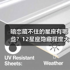 暗恋藏不住的星座有哪些?12星座隐藏程度大揭秘(图2) 暗恋藏不住的星座有哪些?12星座隐藏程度大揭秘(图2)