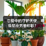 恋爱中的守护天使,哪些星座男最称职?(图4) 恋爱中的守护天使,哪些星座男最称职?(图4)