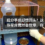 提分手后却想回头?这些星座竟然会犹豫,你遇到过吗?(图4) 提分手后却想回头?这些星座竟然会犹豫,你遇到过吗?(图4)
