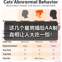 这几个星男婚后AA制？真相让人大吃一惊！（图2）