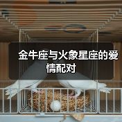 金牛座与火象星座的爱情配对(图1) 金牛座与火象星座的爱情配对(图1)