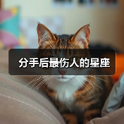 分手后最伤人的星座(图1) 分手后最伤人的星座(图1)