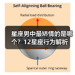 星座男中最矫情的是哪个?12星座行为解析(图4) 星座男中最矫情的是哪个?12星座行为解析(图4)