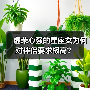 虚荣心强的星座女为何对伴侣要求极高?(图2) 虚荣心强的星座女为何对伴侣要求极高?(图2)