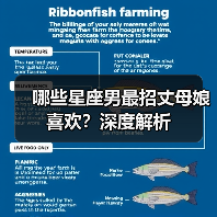 哪些星座男最招丈母娘喜欢?深度解析(图1) 哪些星座男最招丈母娘喜欢?深度解析(图1)