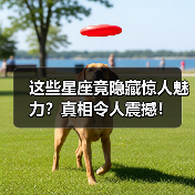这些星座竟隐藏惊人魅力?真相令人震撼!(图4) 这些星座竟隐藏惊人魅力?真相令人震撼!(图4)