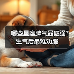 哪些星座脾气最倔强?生气后最难劝服(图3) 哪些星座脾气最倔强?生气后最难劝服(图3)