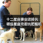 十二星座事业运排名:哪些星座需避坑把握机遇?(图2) 十二星座事业运排名:哪些星座需避坑把握机遇?(图2)