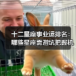 十二星座事业运排名:哪些星座需避坑把握机遇?(图3) 十二星座事业运排名:哪些星座需避坑把握机遇?(图3)