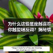 为什么这些星座越喜欢你越爱唱反调?揭秘情感密码(图3) 为什么这些星座越喜欢你越爱唱反调?揭秘情感密码(图3)