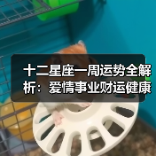 十二星座一周运势全解析:爱情事业财运健康运势详解(图1) 十二星座一周运势全解析:爱情事业财运健康运势详解(图1)