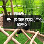 天生颜值就很高的三个星座女(图3) 天生颜值就很高的三个星座女(图3)
