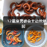 12星座男谁会主动挖墙脚(图3) 12星座男谁会主动挖墙脚(图3)