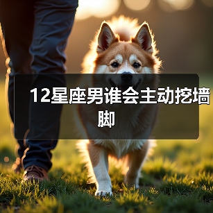 12星座男谁会主动挖墙脚(图4) 12星座男谁会主动挖墙脚(图4)