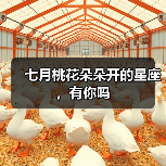 七月桃花朵朵开的星座,有你吗(图4) 七月桃花朵朵开的星座,有你吗(图4)