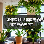 如何应对12星座男的若即若离的态度?(图3) 如何应对12星座男的若即若离的态度?(图3)