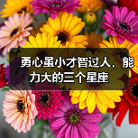 勇心虽小才智过人,能力大的三个星座(图2) 勇心虽小才智过人,能力大的三个星座(图2)
