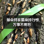 最会持家星座排行榜,万事不用愁(图4) 最会持家星座排行榜,万事不用愁(图4)