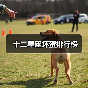 十二星座坏蛋排行榜(图3) 十二星座坏蛋排行榜(图3)