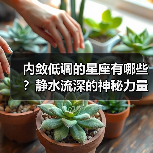 内敛低调的星座有哪些？静水流深的神秘力量（图1）