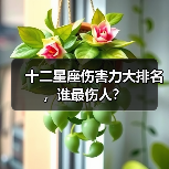 十二星座伤害力大排名,谁最伤人?(图2) 十二星座伤害力大排名,谁最伤人?(图2)