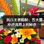 抗压王者揭秘:五大星座逆流而上的秘密(图1) 抗压王者揭秘:五大星座逆流而上的秘密(图1)