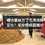 哪些星座为了生活选择妥协?星座情感真相分析(图4) 哪些星座为了生活选择妥协?星座情感真相分析(图4)
