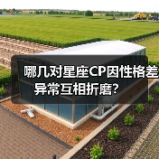 哪几对星座CP因性格差异常互相折磨?(图4) 哪几对星座CP因性格差异常互相折磨?(图4)