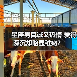 星座男真诚又热情 爱得深沉却略显稚嫩？（图1）