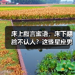 床上甜言蜜语,床下翻脸不认人?这些星座男最会玩套路(图2) 床上甜言蜜语,床下翻脸不认人?这些星座男最会玩套路(图2)