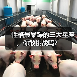 性格最暴躁的三大星座,你敢挑战吗?(图4) 性格最暴躁的三大星座,你敢挑战吗?(图4)